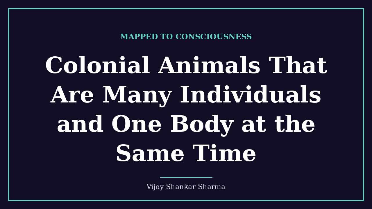 Colonial Animals That Are Many Individuals and One Body at the Same Time