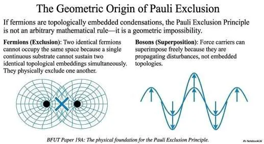 The geometry of Pauli exclusion. Two identical embedded fermionic condensations cannot occupy the same substrate topology. Propagating bosonic disturbances have no such restriction.