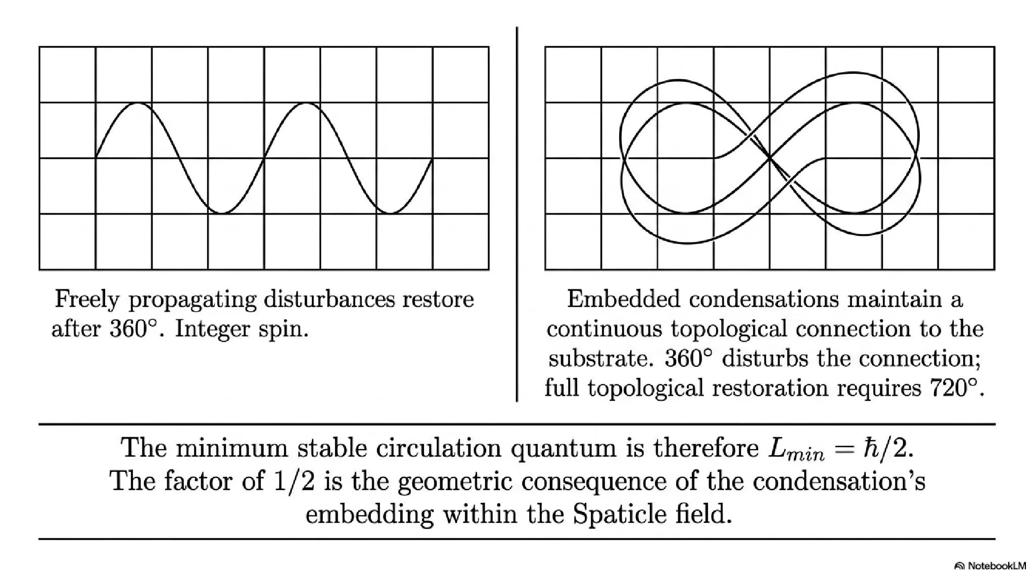 Topological origin of the spin-statistics theorem. Freely propagating disturbances restore after 360° (integer spin, bosons). Embedded condensations require 720° for full topological restoration (half-integer spin, fermions). This embedding topology in the Spaticle field directly implies the Pauli exclusion principle and Bose-Einstein statistics.